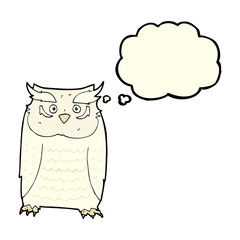 cartoon owl with thought bubble
