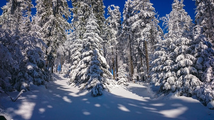 Winter landscape in mountains