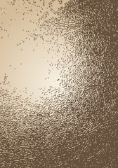 old grunge texture background