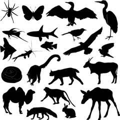 Naklejka premium Set of animal silhouettes