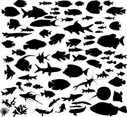 Set of  fishes silhouettes - 91876835