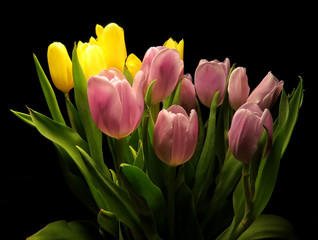 Pink and yellow tulips