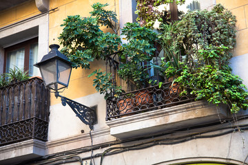 Fototapeta na wymiar Flowerpots and house plants on the balcony