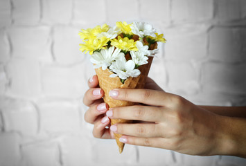 Woman's hand holding wild flowers in wafer on light wall background