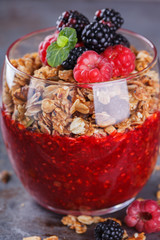 Granola, fresh berries,berry puree and honey.Healthy Breakfast.selective focus