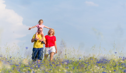 Familie macht Spaziergang auf Wiese mit Blumen, der Vater trägt seine Tochter auf den Schultern - obrazy, fototapety, plakaty