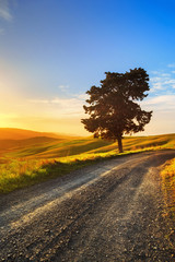 Tuscany, lonely tree and rural road on sunset. Volterra, Italy.