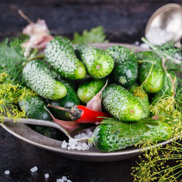 Salted ,pickled cucumbers. Harvesting garlic,salt,herbs and peppers on a black background.selective focus