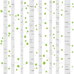Printed roller blinds Birch trees Bäume mit Blätter Baumstamm Wald Hintergrund Muster nahtlos