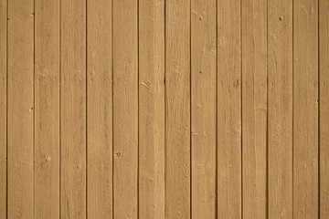 Obraz premium Old grunge wood panels in the autumn color Oak Bluff