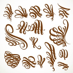 Calligraphic vintage rounded curls elements set isolated on a wh