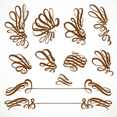 Calligraphic vintage spiral curls elements set isolated on a whi