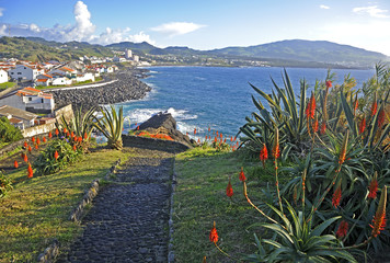 Naklejka premium Wyspa San Miguel, Azory