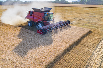 Fototapeta premium Combine working on the wheat field