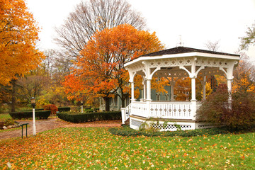 White Gazebo and autumn trees in the park