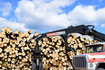 Log Truck with Loader in Front of Pulp Pile