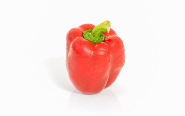 Red sweet peeper isolated
