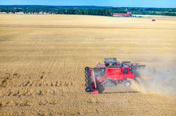 Obraz premium Combine working on the wheat field