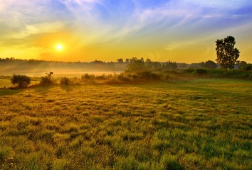 Fototapeta premium Sunset at summer fields