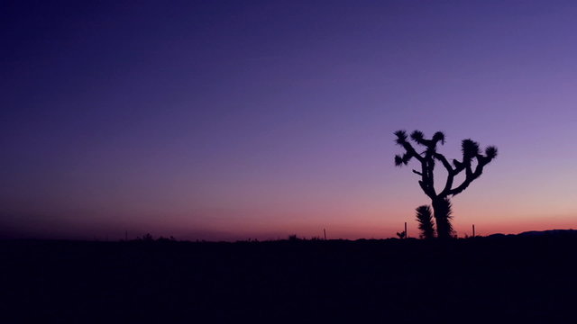The sky darkens in the desert at golden hour.