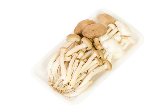 Mix mashrooms in foam plated isolated