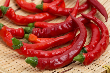 生のトウガラシ　