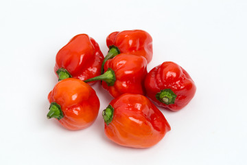 トウガラシ　ハバネロ