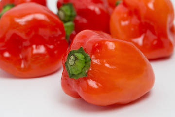 トウガラシ　ハバネロ