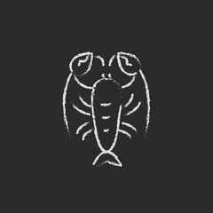 Lobster icon drawn in chalk.