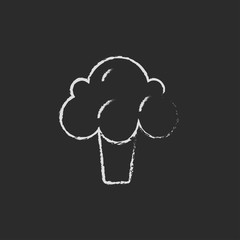 Broccoli icon drawn in chalk.