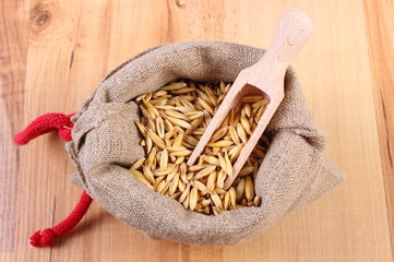 Organic oat grains in jute bag, healthy nutrition
