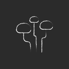 Mushroom icon drawn in chalk.