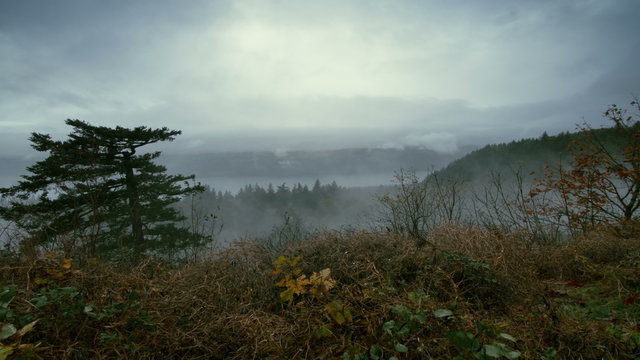 Time Lapse 2042: Time lapse clouds and mist travel over the Columbia River Gorge, Oregon, USA.