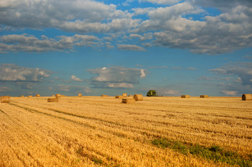 Fototapeta premium Golden hay bales in countryside