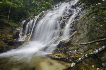 the beautiful waterfall falling from hill, dead tree and clear water at bottom.