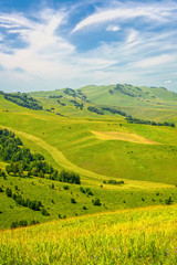 Beautiful Summer Landscape: Green Hills Covered by Trees and Blue Sky with White Clouds - 91896276