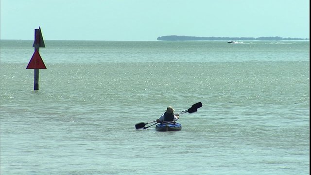 Sea Kayakers In Florida Bay