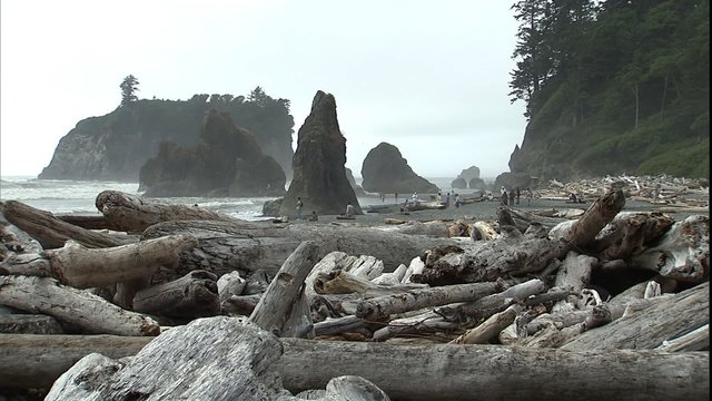 MWS rocks, beach and people with driftwoo