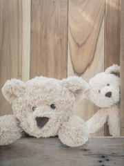 2 teddybears playing hide and seek