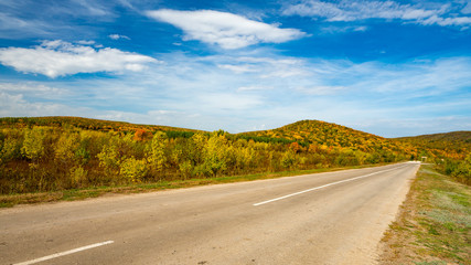 Road stretches into the distance on the background of bright autumn trees on a hill. Russia