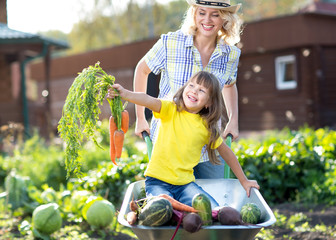 Vegetable garden - child gardener with carrots and other