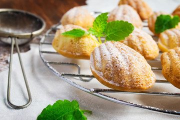 Cookies madeleines freshly baked, selective focus