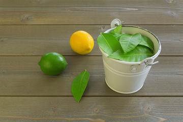 lemon yellow and lime green with green leaves in a white bucket on a brown wooden table