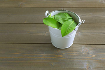 citrus green leaves in a white bucket on a brown wooden table