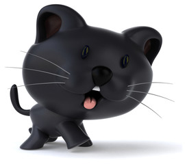 Fun cat