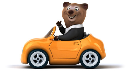 Fun bear