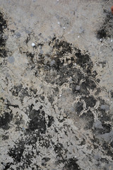  wall texture background