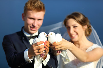 Wedding couple with pigeons 
