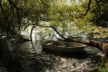 Obraz premium Boat in the tree shadow