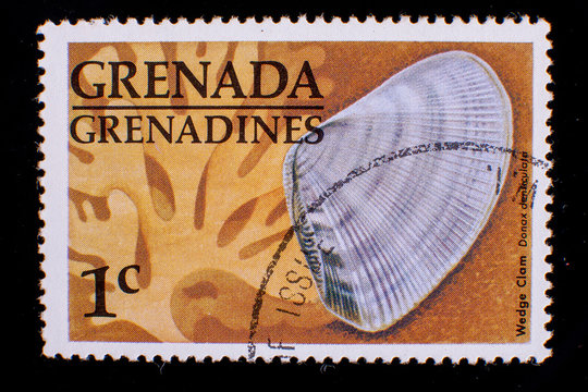Postage stamp with sea shells Grenada